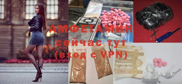 хмурый Абаза